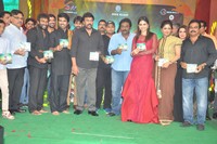 Bruce Lee Movie Audio Release Photos